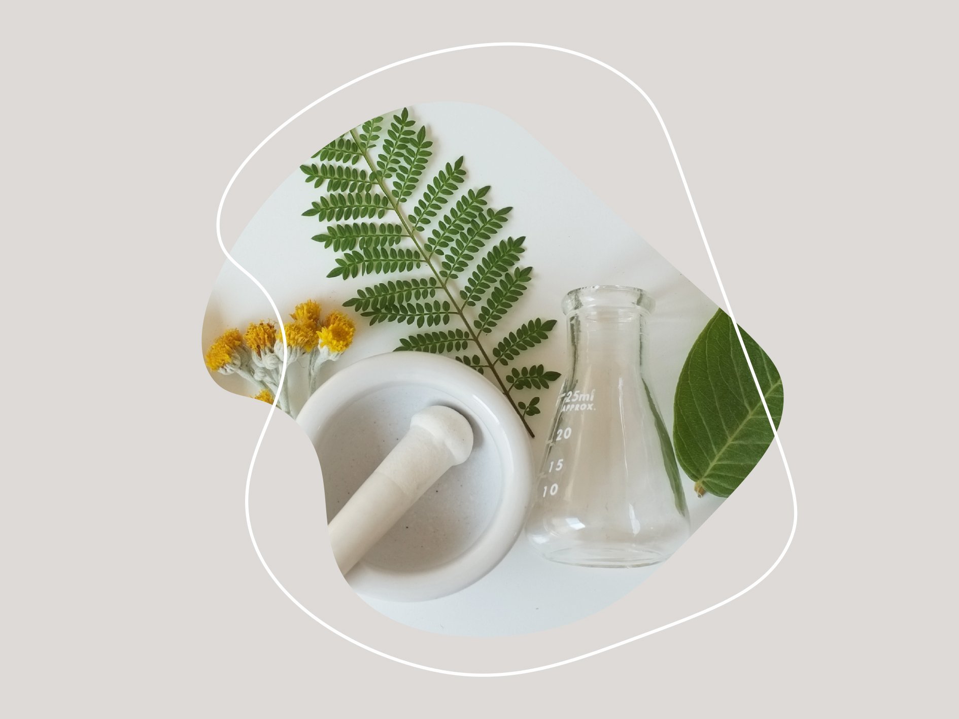 Frische individuelle Naturkosmetik Programme