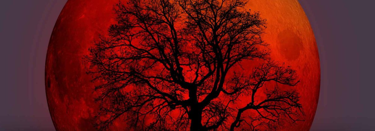 Hautpflege Routine nach Mondphasen