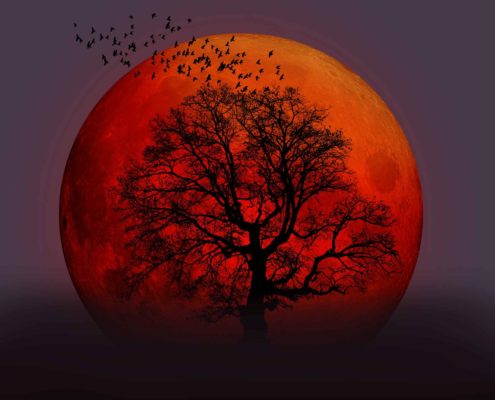 Hautpflege Routine nach Mondphasen