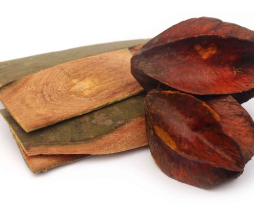 Arjuna in der Kosmetik